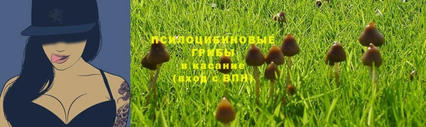 спиды Костерёво