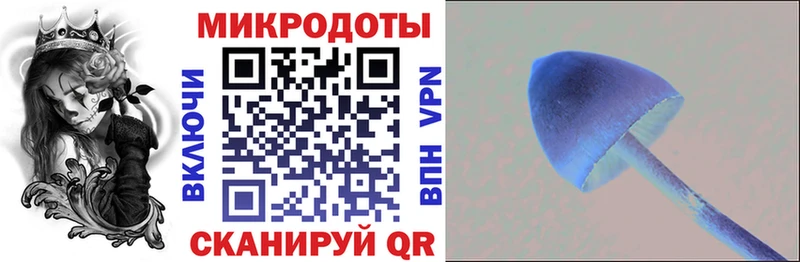 Псилоцибиновые грибы прущие грибы  Купить закладки  Мегион 